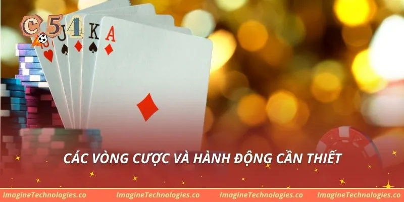 Các vòng cược và hành động cần thiết