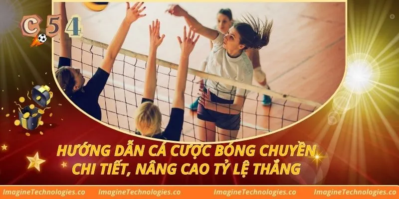 Hướng Dẫn Cá Cược Bóng Chuyền Chi Tiết, Nâng Cao Tỷ Lệ Thắng