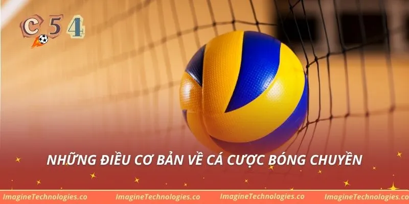 Những điều cơ bản về cá cược bóng chuyền