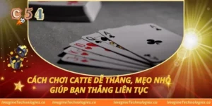 Cách chơi Catte dễ thắng, mẹo nhỏ giúp bạn thắng liên tục