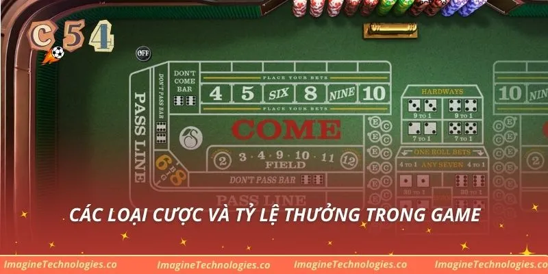 Các loại cược và tỷ lệ thưởng trong game